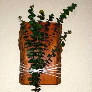 Natural Home Decor